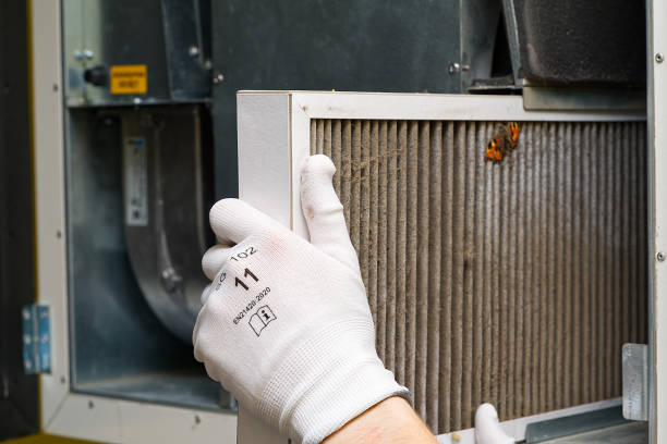 Best Dryer Vent Cleaning Services  in Northfield, KY